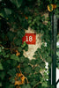 Retro house number sign on a wall surrounded by plants