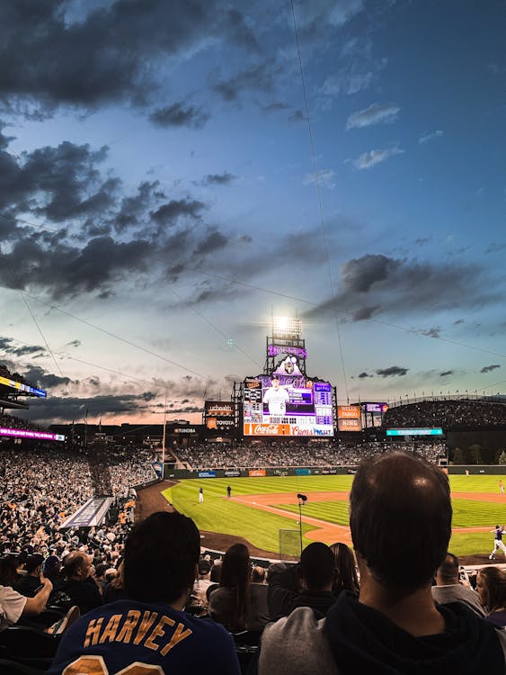 Best Sports Signs & Fan Decor for Your Home