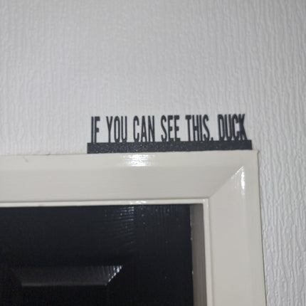 IF YOU CAN See This, Duck Door topper, shelf decor, wall decor, quirky home interior decor, quirky gift, door decoration