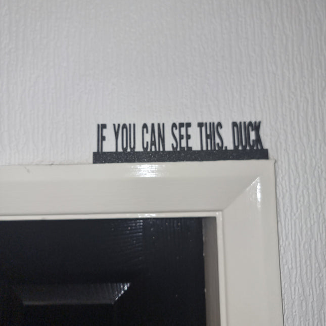 IF YOU CAN See This, Duck Door topper, shelf decor, wall decor, quirky home interior decor, quirky gift, door decoration