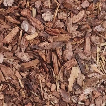 Pouch Keeper Tidy Stash - Divider Container: Keep Your Empty Nicotine and Zyn Pouches Neatly Organized | Holds 15 Full Pouches!