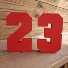 23 Basketball Desk Decor - 3D Printed Gift | Personalised Gift
