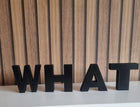 What Decorative Letter Ornament - 3D Printed Gift | Personalised Gift